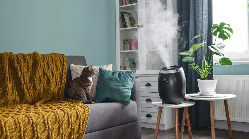 When Should You Not Use a Humidifier