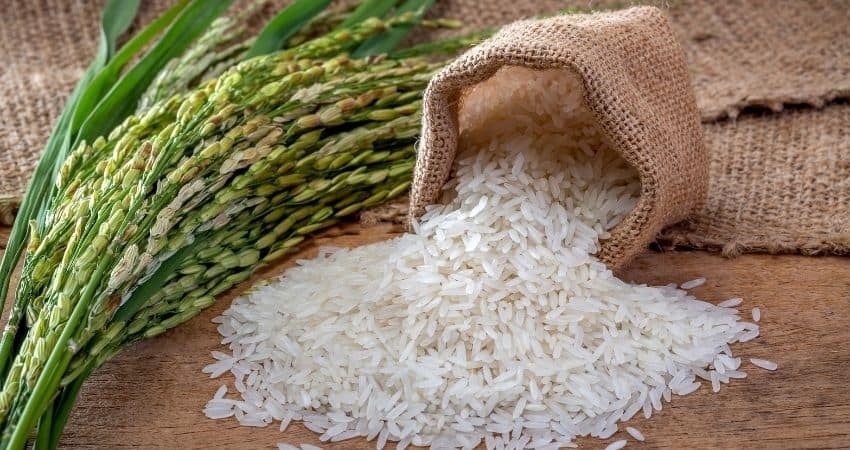 Can Vegans Eat Rice