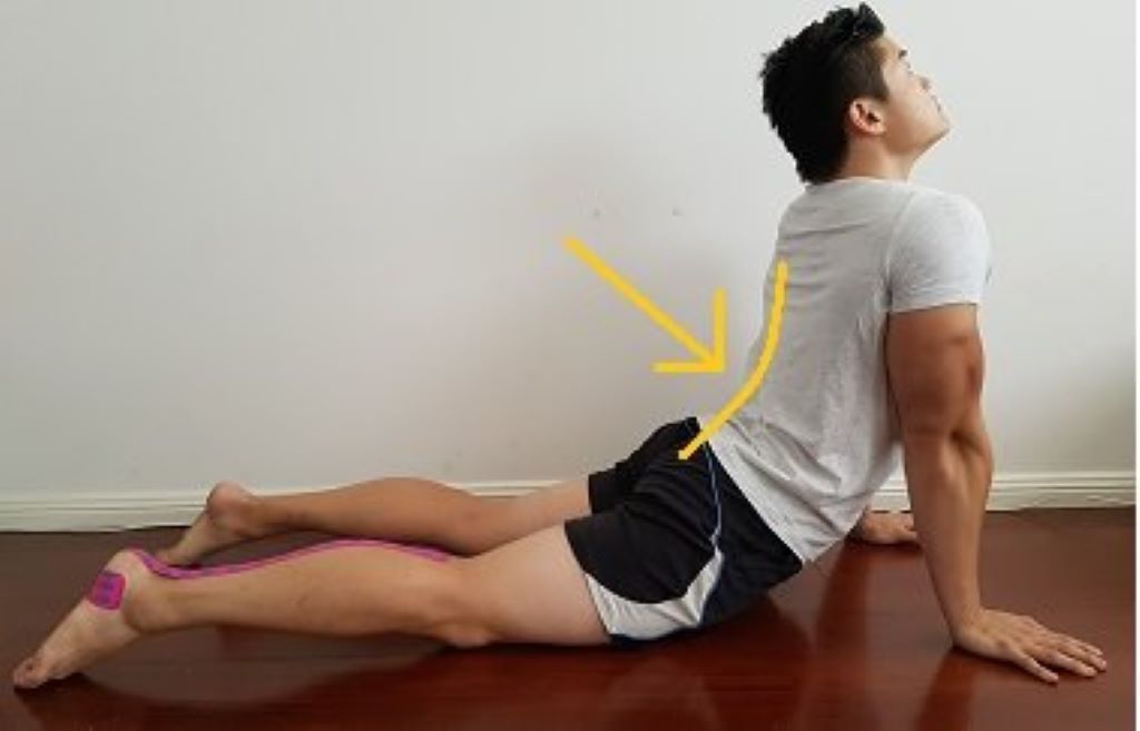 Understanding Arching of the Back
