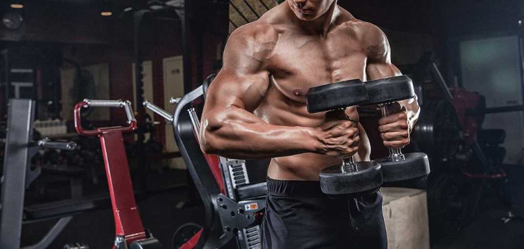 Top 10 Chest Exercises for Maximum Gains Your Ultimate Guide