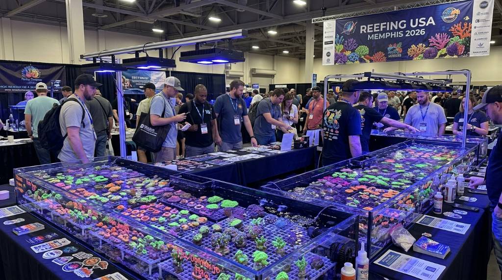 Colorful reef corals on display at Reefing USA Memphis 2026 expo tables